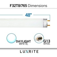 Luxrite F32T8/865 32W 48 Inch T8 Fluorescent Tube Light Bulb, 6500K Daylight, 2800 Lumens, G13 Medium Bi-Pin Base, Lr20735, 12-Pack