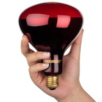 Therabulb Nir-A Near Infrared Bulb - 250 Watt - 120 Volt