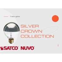 Satco (6 Pack S3862 120-Volt 60-Watt G25 Medium Base Light Bulb, Silver Crown