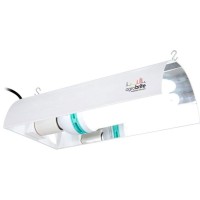 Agrobrite Flb125W Compact, Warm, 125 Watt, 6500K Fluorescent Lamp