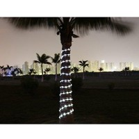 Lychee Solar Rope Lights Outdoor 16.5Ft 50Led Waterproof Solar Power String W/Light Outdoor Rope Lights Ideal For Home Garden Party Wedding Decoration (White)