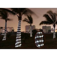 Lychee Solar Rope Lights Outdoor 16.5Ft 50Led Waterproof Solar Power String W/Light Outdoor Rope Lights Ideal For Home Garden Party Wedding Decoration (White)