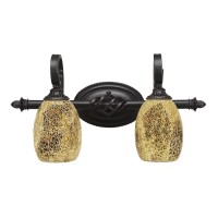 Elegante 2 Light Bath Bar Shown In Dark Granite Finish With 5 Gold Fusion Glass