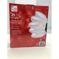 25 C9 Lights 24 Ft. Lighted Length Clear