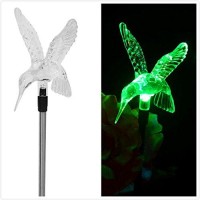 Stunning Acrylic Solar Hummingbird Light Stake (Box Of 2)