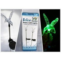 Stunning Acrylic Solar Hummingbird Light Stake (Box Of 2)