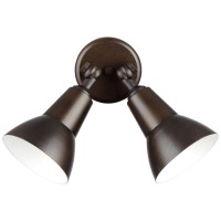 Quorum International 690-2-86 Contemporary Modern One Pendant Transitional Two Light Ceiling Mount, Bronze/Dark