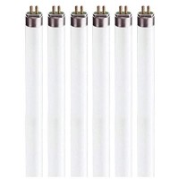 F8T5 Fluorescent Light Bulbs - 12