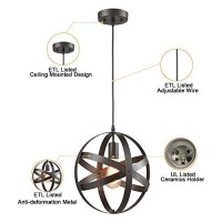 Truelite Industrial Metal Spherical Pendant Displays Changeable Hanging Lighting Fixture