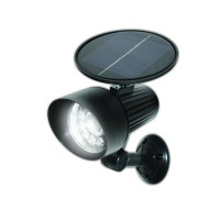 Ecothink 12 Led Solar Motion Spot Light