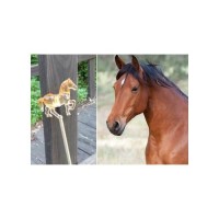 Set Of 2 Clear Acrylic Horse Solar Yard Stick Color Change Lights