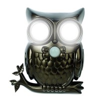 Ideaworks Jb7682 Decorative Led Motion Sensor Hooting Owl Light, Black