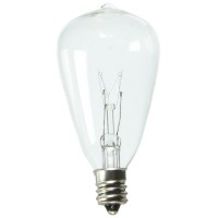 Litex Indoor/Outdoor Clear Incandescent Edison String Light Bulbs