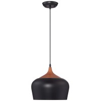 Possini Euro Design Felton Black Mini Pendant Lighting Fixture 12