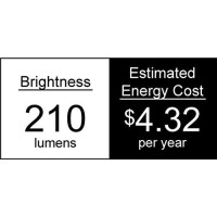 Royal Designs Inc Lb501116 Lb501116 Royal Designs Clear Glass Traditional Style Incandescent Light Bulbs E26 Medium Brass