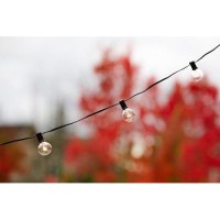 Radiance Clear String Globe Lights, 25 Ft, Black Wire, G40 Bulb