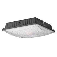 1000Led Led Canopy Light Fixture, 26W/ 39W/ 52W/ 65W Seletable, 4000K/5000K Seletable, High Lumens Engergy Saving, 10