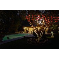 Ideaworks Outdoor Solar String Led Lights (Red)