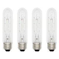 Creative Hobbies 308 (Pack Of 4) 25T10/Cl - 25 Watt T10 Clear Tubular - 120V - Medium (E26) Base - Incandescent Light Bulbs