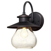 Westinghouse Lighting 6313500 Delmont One-Light Outdoor Wall Fixture, Oil Rubbed Bronze Finish With Highlights With Clear Seeded Glass