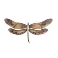 Eangee Home Design Dragonfly Wall Decor Earthtoned 20 Inches Length X 1 Inch Width X 12 Inches Height (M4007)