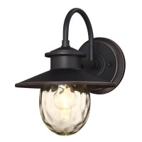 Westinghouse 6313100 Delmont One-Light Outdoor Wall Fixture, Oil Rubbed Bronze Finish With Highlights And Clear Water Glass