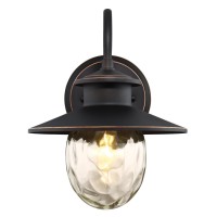 Westinghouse 6313100 Delmont One-Light Outdoor Wall Fixture, Oil Rubbed Bronze Finish With Highlights And Clear Water Glass