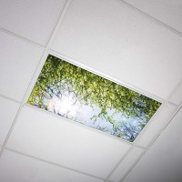 Fluorescent Light Cover For Classroom Ceiling Lights Premium Backlit Film Insert 2X4 2238X465 Florescent Fixture Pack