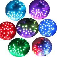 Rextin Ws2811 Pixels Digital Addressable Led String Lights Waterproof Rgb Full Color 12Mm Dc 12V Dc12V 50Pcs