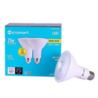 Ecosmart 75W Bright White Par30 Dimmable Led Flood Light Bulb2Pack 1001653667