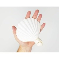 Tumbler Home Real Sea Shell Beach Night Light Real, Natural, Perfect For Beach Home Decor