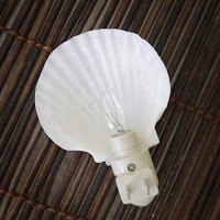 Tumbler Home Real Sea Shell Beach Night Light Real, Natural, Perfect For Beach Home Decor