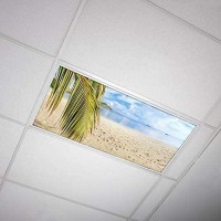 Octo Lights Fluorescent Light Covers For Ceiling Lights Classroom 2X4 (22.38In X 46.5In) Improve Focus, Eliminate Headaches, Provide Florescent Light Relief - Beach 004