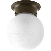 Progress Lighting P340120 Glass Globes Closetoceiling Bronze