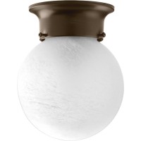 Progress Lighting P340120 Glass Globes Closetoceiling Bronze