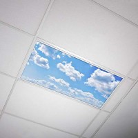 Octo Lights Fluorescent Light Covers For Classroom Office - Eliminate Harsh Glare Causing Eyestrain And Headaches. Office & Classroom Decorations - Cloud 001