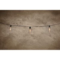 Cleveland Vintage Lighting String Lights With 10 Copper Plated Edison Bulbs, 10 Feet