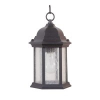 Craftmade Z291-Tb-Cs Hex Style Outdoor Pendant Lighting, 1-Light 100 Watt (11