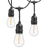 Newhouse Lighting Cstringled18 Hanging Sockets Weatherproof Technology String Light, 48 Ft, Black, 48 Ft