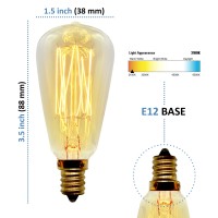 Bunnit Bulbs Vintage Retro Edison Bulb, St38, 40W, E12 Base (Small), 2-Pack