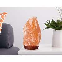 The Body Source Himalayan Salt Lamp 6-8 Inches (4-7Ib), Includes Lamp Dimmer Switch And Night Light - All Natural Salt Lamp With Handcrafted Wooden Base And Salt Lamp Light Bulb Replacement