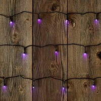 Product Works Ultraled Battery Operated Twinkle Light String, Purple, 3.5-Feet