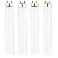 Dysmio Lighting F15T8-Cw 15-Watt 18-Inch 4100K 825 Lumen Medium Bi-Pin Base T8 Fluorescent Straight Tube Bulb With Cool White Light- 4 Pack