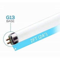 (6 Pack) F17T8/841 17W 24 Inch T8 Fluorescent Tube Light Bulb, 4100K Cool White, Medium Bi-Pin (G13) Base, 17 Watt T8 Light Bulbs