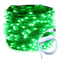 Ruichen Silver Wire 66 Ft 200 Led Usb Fairy String Lights With On/Off Switch (Green)