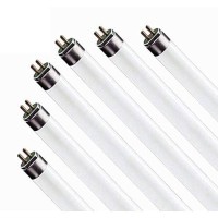 (6 Pack) F17T8/865 17W 24 Inch T8 Fluorescent Tube Light Bulb, 6500K Daylight White, Medium Bi-Pin (G13) Base, 17 Watt T8 Light Bulbs