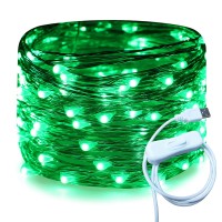 Ruichen Silver Wire 33 Ft 100 Led Usb Fairy String Lights With On/Off Switch (Green)