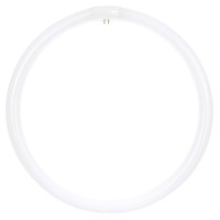 Sunlite 05023 - Fc16T9/Ww 05023-Su Circular T9 Fluorescent Tube Light Bulb