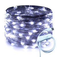 Ruichen Silver Wire 33 Ft 100 Led Usb Fairy String Lights With On/Off Switch (Cool White)