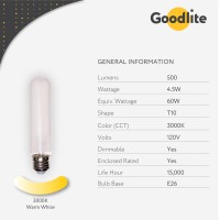 Goodlite G-19753 Edison Led 4.5W Bulb E26 Base T10 Shape, Frosted, 60W Equivalent 500 Lumens Filament Warm White 3000K Dimmable, 1 Count (Pack Of 1)